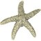 Atlas Homewares - Cabinet Hardware - Oceana Starfish Knob